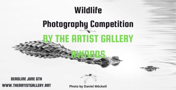 Wildlife Photography Contest 2025 by The Artist Gallery Awards