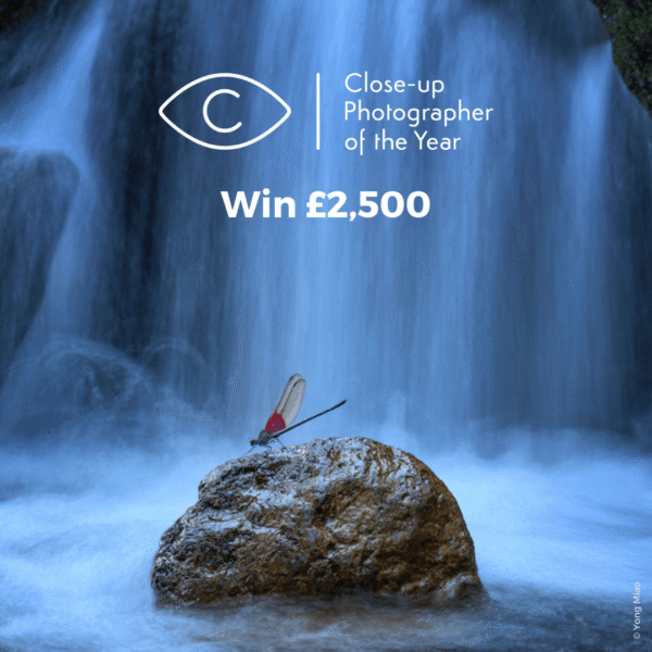 Close-up Photographer of the Year 2025