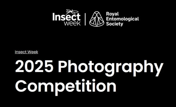Insect Photography Competition 2025