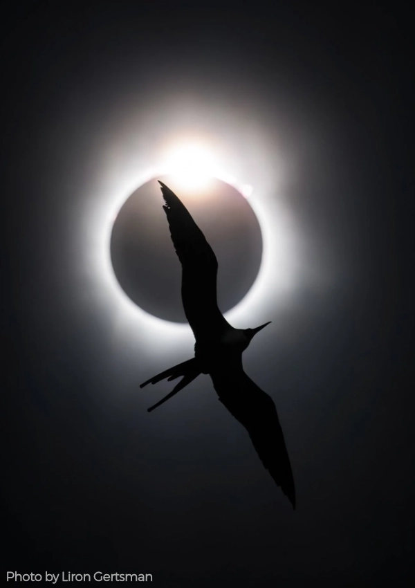 Bird Photographer of the Year 2026
