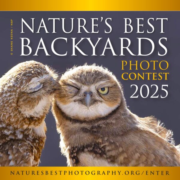 2025 Nature’s Best Backyards