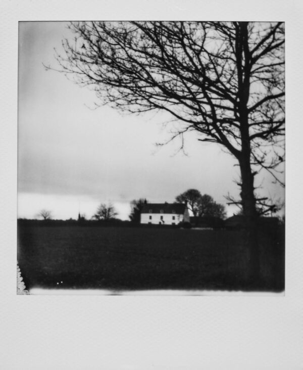 “Darm Frames III” A Black & White Photography Exhibition