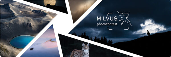Nature Photography Competition Milvus Photocontest