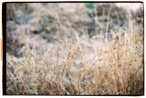 “Flora” A Nature Photography Exhibition