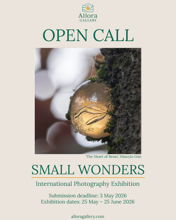 “Small Wonders” A Curated International Photography Exhibition