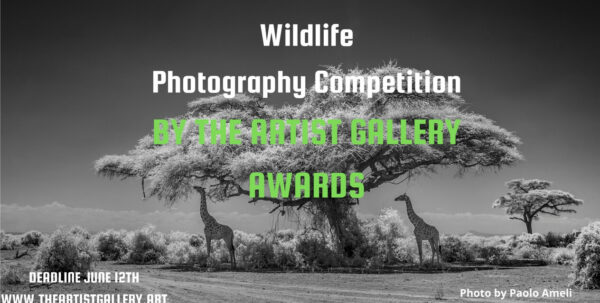 Wildlife Photography Contest 2026 by The Artist Gallery Awards