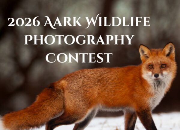 Aark Wildlife Photography Contest