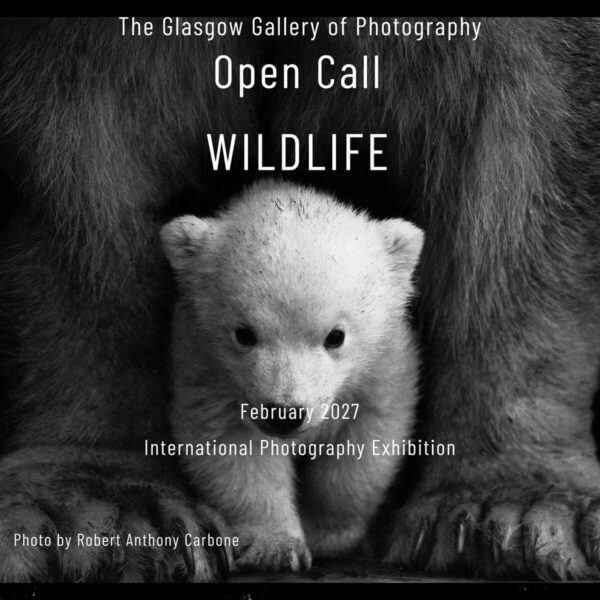 Wildlife 2027 International Photography Exhibition