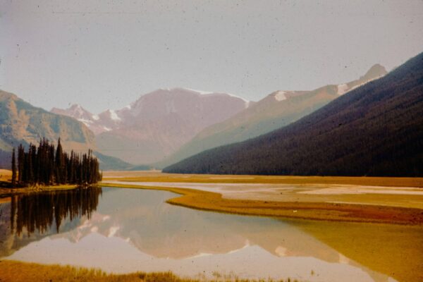“North America” – A Virtual Photography Exhibition & Collection.